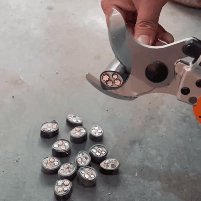 1717745043847459.gif